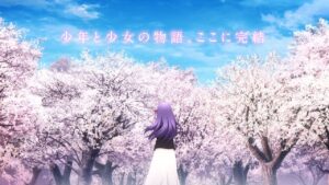 劇場版「Fate/stay night [Heaven’s Feel]」Ⅲ.spring song　Blu-ray&DVD 発売告知映像