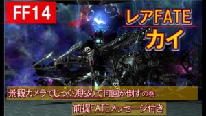 FF14 レアFATE カイのメモリーより 侵略兵器の破壊 景観カメラで鑑賞してから何回か倒す