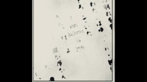 Fate/Type Redline ~ ONE OK ROCK RE:MAKE [AMV/MAD]