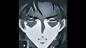idfc | FATE Heaven’s Feel