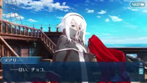 メアリー&アン　トレジャー・チョコレート　フルボイス　バレンタイン【FGO】【Fate/Grand Order】
