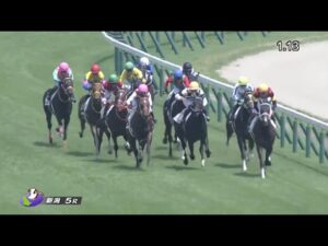 2歳新馬戦 / フェイト